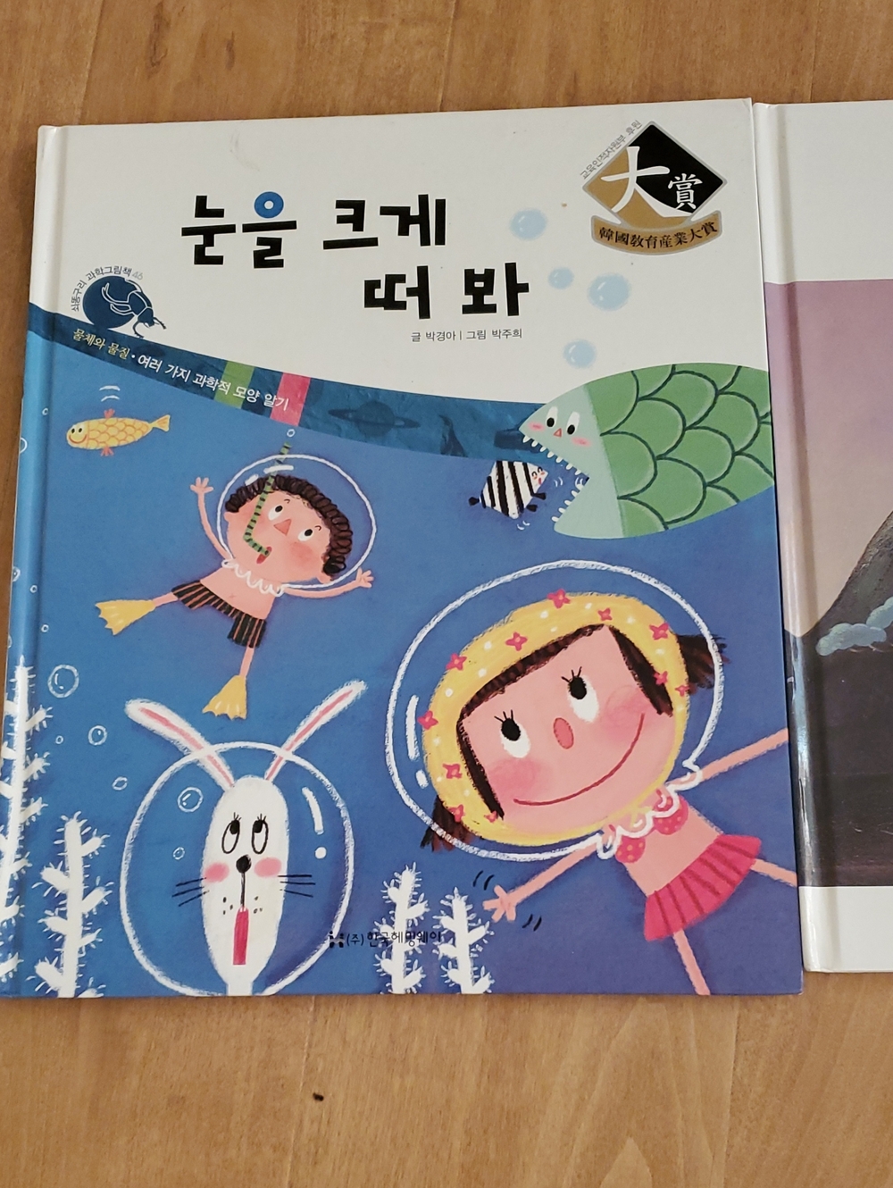 Kids Swim Picture Book - Blue Swim Adventure